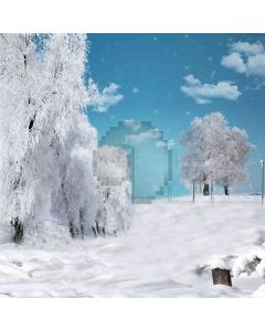 Charming Snow Scene Computer Printed Photography Backdrop DT-LP-0258