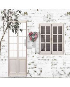 Light Color Wall  Computer Printed Photography Backdrop DT-LP-0267