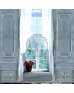 Window And  Flowers  Computer Printed Photography Backdrop DT-LP-0272