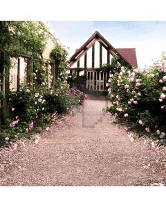 Beauty Courtyard  Computer Printed Photography Backdrop DT-LP-0500