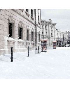 White Snow  Computer Printed Photography Backdrop DT-LP-0507