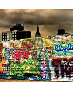 Colorful Graffiti  Computer Printed Photography Backdrop DT-LP-0548