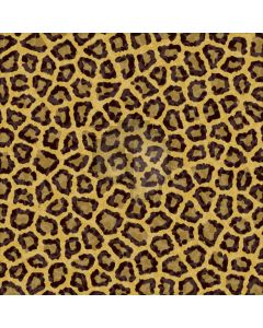 Leopard pattern Computer Printed Photography Backdrop DT-SL-003