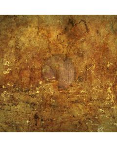 Yellow Walls Computer Printed Photography Backdrop DT-SL-011