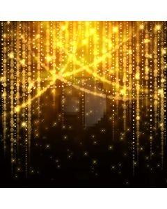 Dim lighting Computer Printed Photography Backdrop DT-SL-023