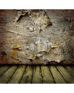 Old wall Computer Printed Photography Backdrop DT-SL-033