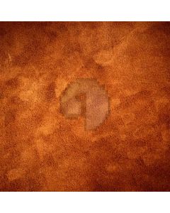 Orange abstract art Computer Printed Photography Backdrop DT-SL-038