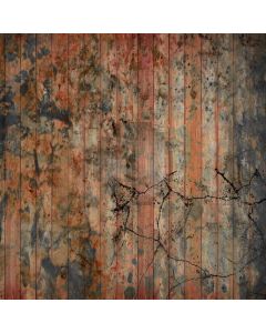 Old woodgrain Computer Printed Photography Backdrop DT-SL-043