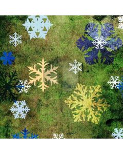 Colored snowflakes Computer Printed Photography Backdrop DT-SL-044