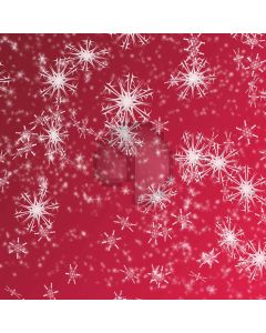 Snowflake patterns Computer Printed Photography Backdrop DT-SL-082