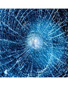 Spider web Computer Printed Photography Backdrop DT-SL-115