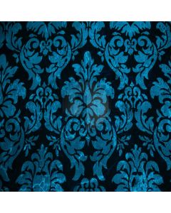 Plane pattern Computer Printed Photography Backdrop DT-SL-124