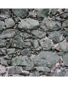 Rocky path Computer Printed Photography Backdrop DT-SL-131