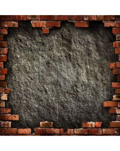 Red brick wall Computer Printed Photography Backdrop DT-SL-146