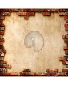 Red brick wall Computer Printed Photography Backdrop DT-SL-147