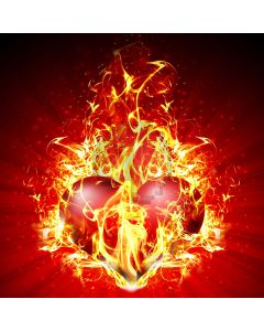 Passionate flame Computer Printed Photography Backdrop DT-SL-156
