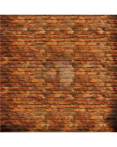 Red brick wall Computer Printed Photography Backdrop DT-SL-157