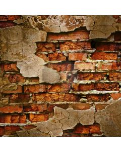 Red brick wall Computer Printed Photography Backdrop DT-SL-158
