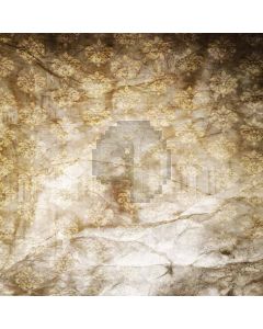 Plane pattern Computer Printed Photography Backdrop DT-SL-165