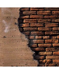 Red brick wall Computer Printed Photography Backdrop DT-SL-173