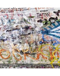 Graffiti wall Computer Printed Photography Backdrop DT-SL-176