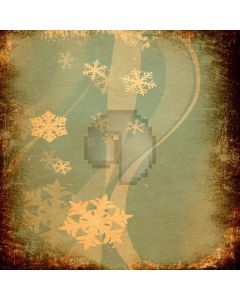 Snowflake shading Computer Printed Photography Backdrop DT-SL-178