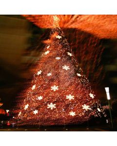 XMAS tree Computer Printed Photography Backdrop DT-SL-183