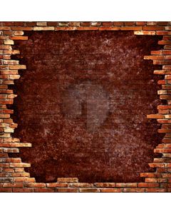 Red brick wall Computer Printed Photography Backdrop DT-SL-184