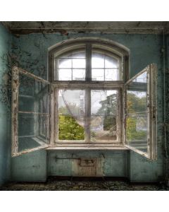White old windows Computer Printed Photography Backdrop DT-SL-229