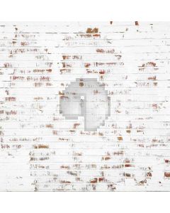 Brick Wall Computer Printed Photography Backdrop DT-XU-0064