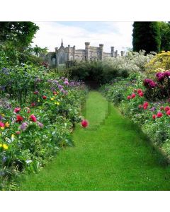 Earth Back To Spring  Computer Printed Photography Backdrop DT-XU-0109