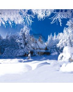 Beautiful snow scene Computer Printed Photography Backdrop DT-XU-0235