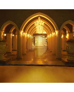 European architectural style Computer Printed Photography Backdrop DT-XU-0260