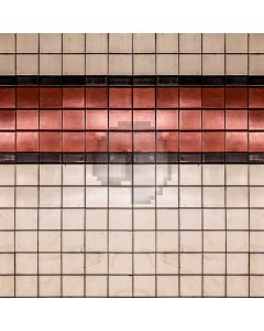 Mosaic Tile Computer Printed Photography Backdrop DTU-062
