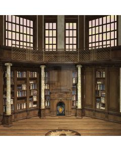 Bookshelf Books Pillar Window Computer Printed Photography Backdrop DTU-082