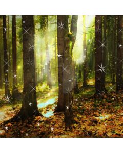 Forest Tree Sunshine Fallen Leaves Computer Printed Photography Backdrop DTU-100