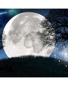 Dark Moon Tree Computer Printed Photography Backdrop DTU-366