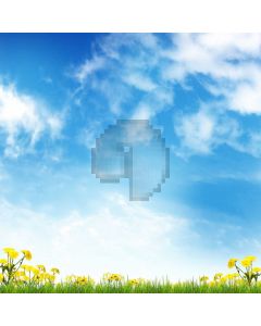 Sky Cloud Grass Flower Computer Printed Photography Backdrop DTU-487