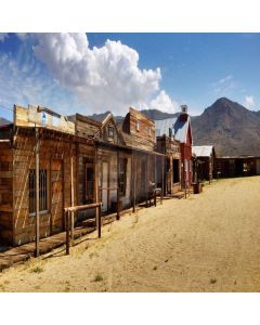 Log Cabin Sky Cloud Sand Mountain Computer Printed Photography Backdrop DTU-686