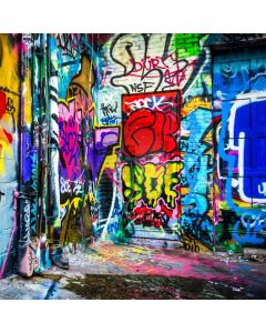 Graffiti Colour Letter Wall Computer Printed Photography Backdrop DTU-704
