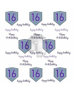 Happy 16Th Birthday Banner Computer Printed Photography Backdrop HXB-001