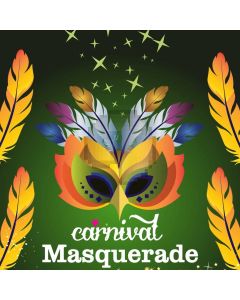 Mask Fur Carnival Masquerade Star Computer Printed Photography Backdrop HXB-042