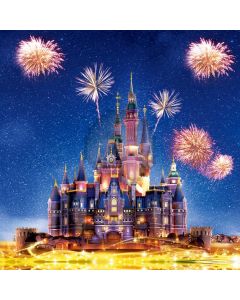 Castle Firework Night Sky Computer Printed Photography Backdrop HXB-077