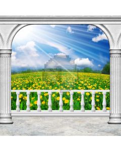Arch Sky Cloud Flower Computer Printed Photography Backdrop HXB-090