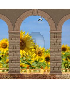 Arch Flower Sky Bird Computer Printed Photography Backdrop HXB-093