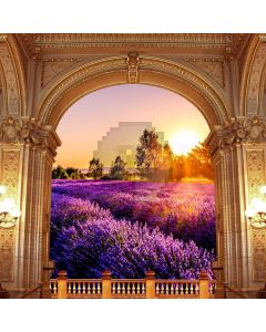 Arch Flower Sunset Tree Computer Printed Photography Backdrop HXB-096