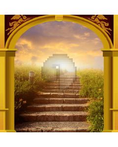 Arch Stairs Plant Sunset Computer Printed Photography Backdrop HXB-112