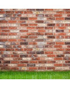 Brick Wall Grass Computer Printed Photography Backdrop HXB-259