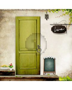 Door Board Grass Flower Computer Printed Photography Backdrop HXB-262