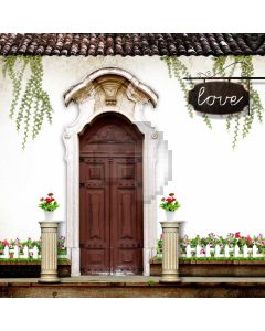 Door Tree Flower Pot Culture Computer Printed Photography Backdrop HXB-263